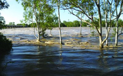 NACare: Qld / NSW Flood Appeal