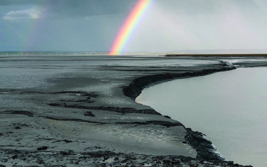 July 2022: See the beauty